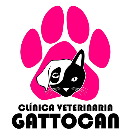 Logotipo Gattocan